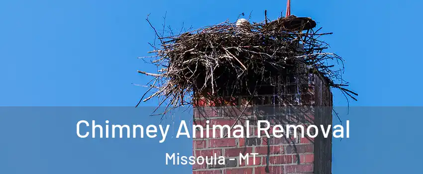 Chimney Animal Removal Missoula - MT