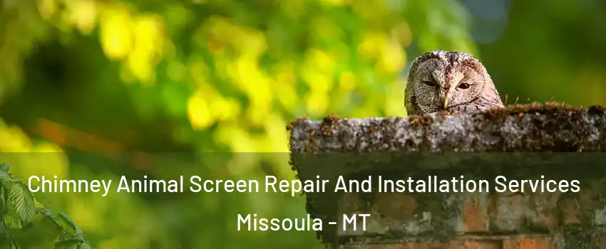  Chimney Animal Screen Repair And Installation Services Missoula - MT