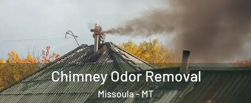  Chimney Odor Removal Missoula - MT