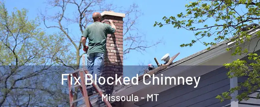  Fix Blocked Chimney Missoula - MT