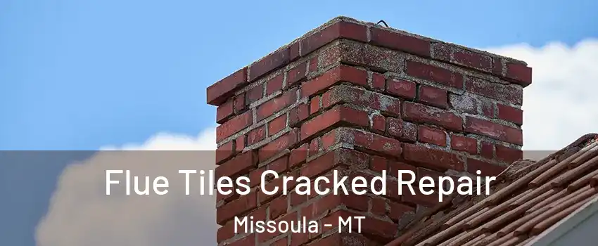  Flue Tiles Cracked Repair Missoula - MT