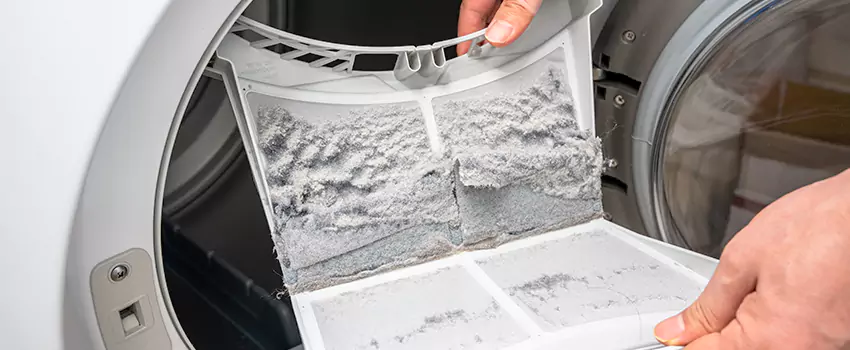 Best Dryer Lint Removal Company in Missoula, Montana