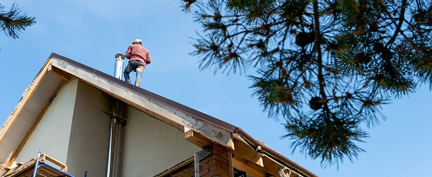 Birds Removal Contractors from Chimney in Missoula, MT