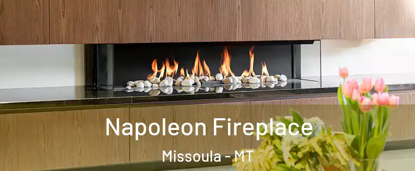 Napoleon Fireplace Missoula - MT